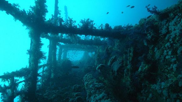 Elphinstone - Daedalus - Saint Johns