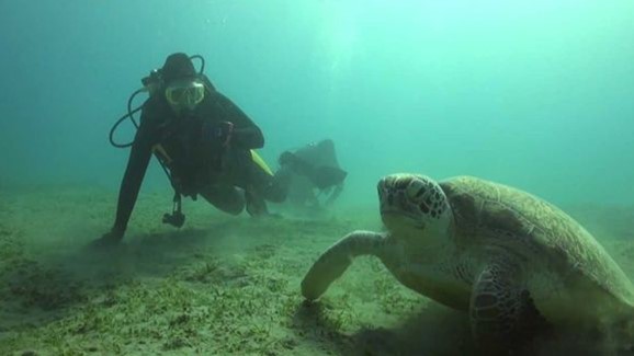 Brothers - Saint John's