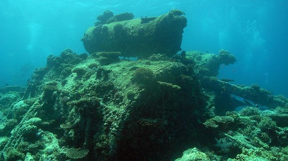 North Wrecks and Safaga