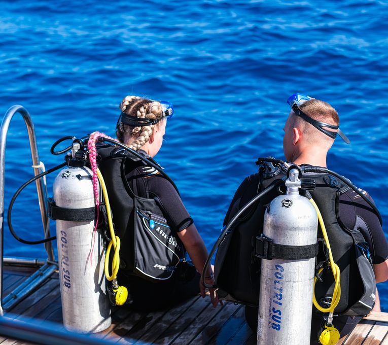 DIVE SAFARI  IN STYLE