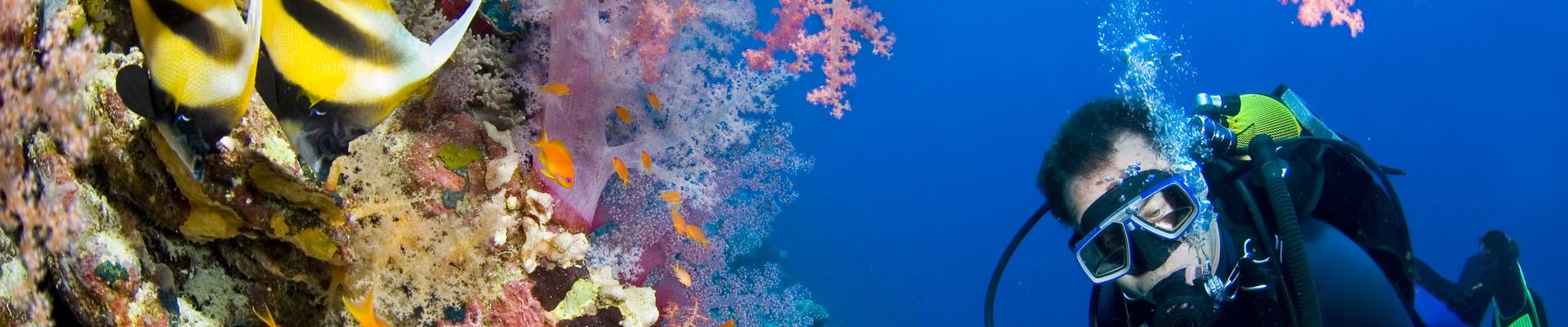 North Ras Mohamed Tiran Dahab