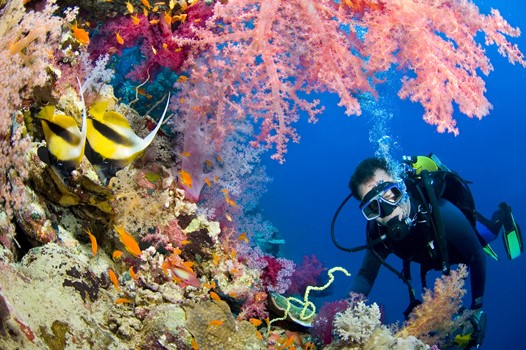 North Ras Mohamed Tiran Dahab